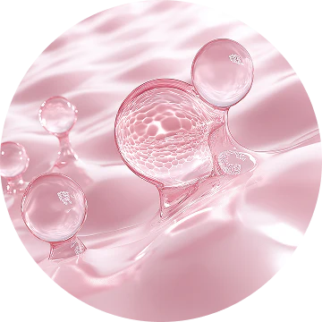 Hydrolyzed Collagen